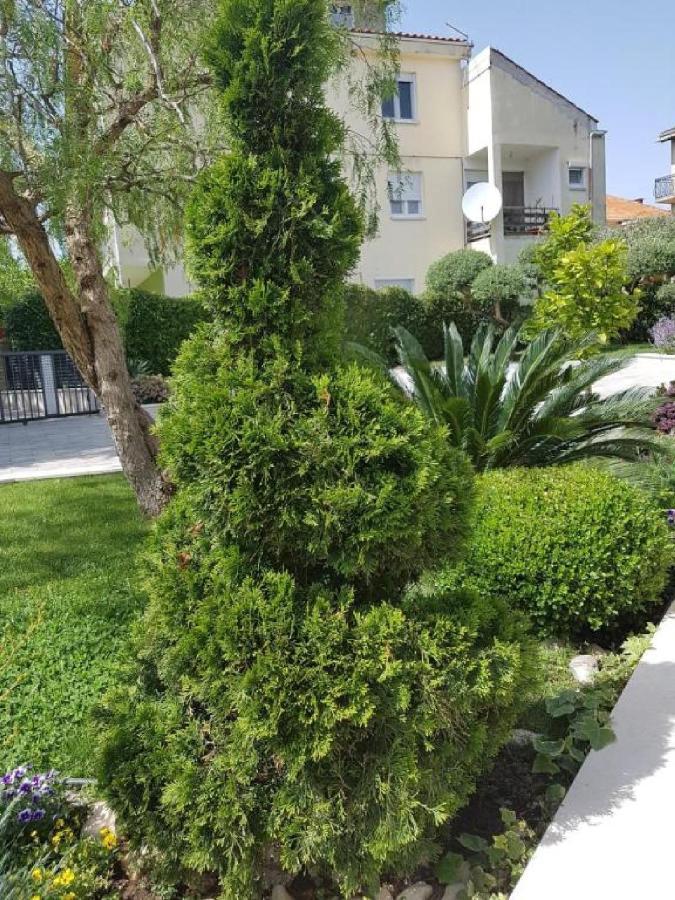 זאדאר Calypso Royal Apartment מראה חיצוני תמונה